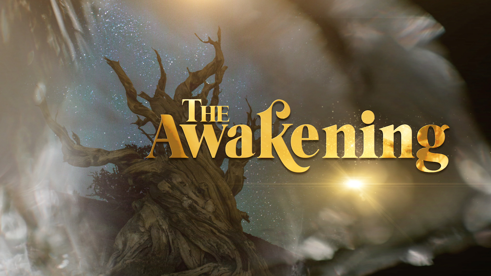 The Awakening